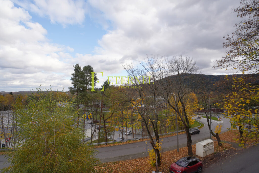 Przestronny dom 350m² z widokiem na lasy – Daszyńskiego