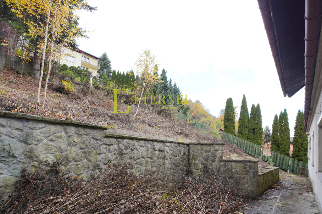 Przestronny dom 350m² z widokiem na lasy – Daszyńskiego