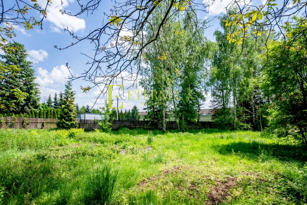 Cały budynek 9-pokojowy do wynajęcia 235,7 m2 na działce 20 arów – ul. Radziwiłłów, Aleksandrowice (gmina Zabierzów)